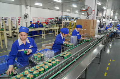 构建高效门户，赋能企业发展——中恒集团门户网站建设方案