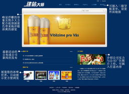 网建市场与广告设计 数字化时代的共生之道