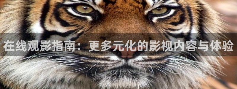 小夜酷客影院：在线观影指南：更多元化的影视内容与体验