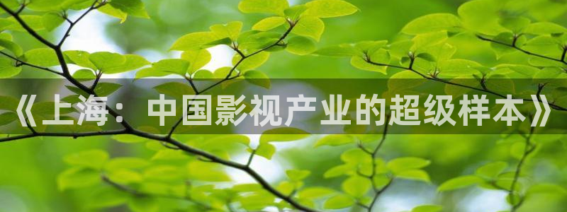 酷客影院交换的一天：《上海：中国影视产业的超级样本》