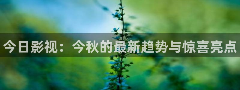 手机酷客影院