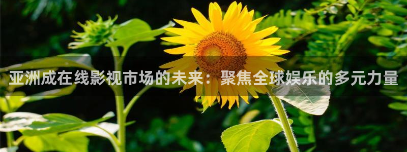 酷客影院免费观看高清