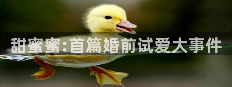 酷客影院手机在线观看最新