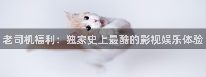 酷客影院手机在线观看免费：老司机福利：独家史上最酷的影视娱乐体验