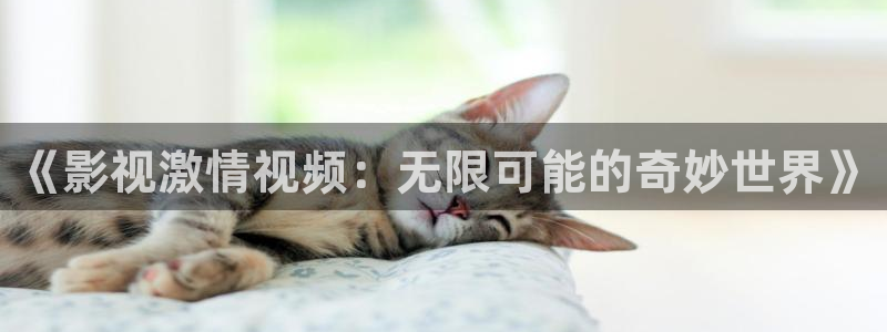 酷客影院2021年：《影视激情视频：无限可能的奇妙世界》