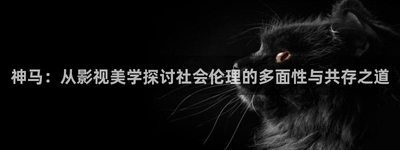 酷客影院新入口：神马：从影视美学探讨社会伦理的多面性与共存之道