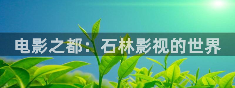 手机酷客影院在线